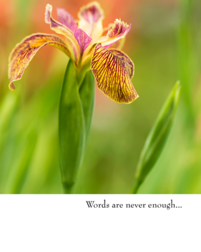 CARD - SYMPATHY - WORDS ARE NEVER ENOUGH